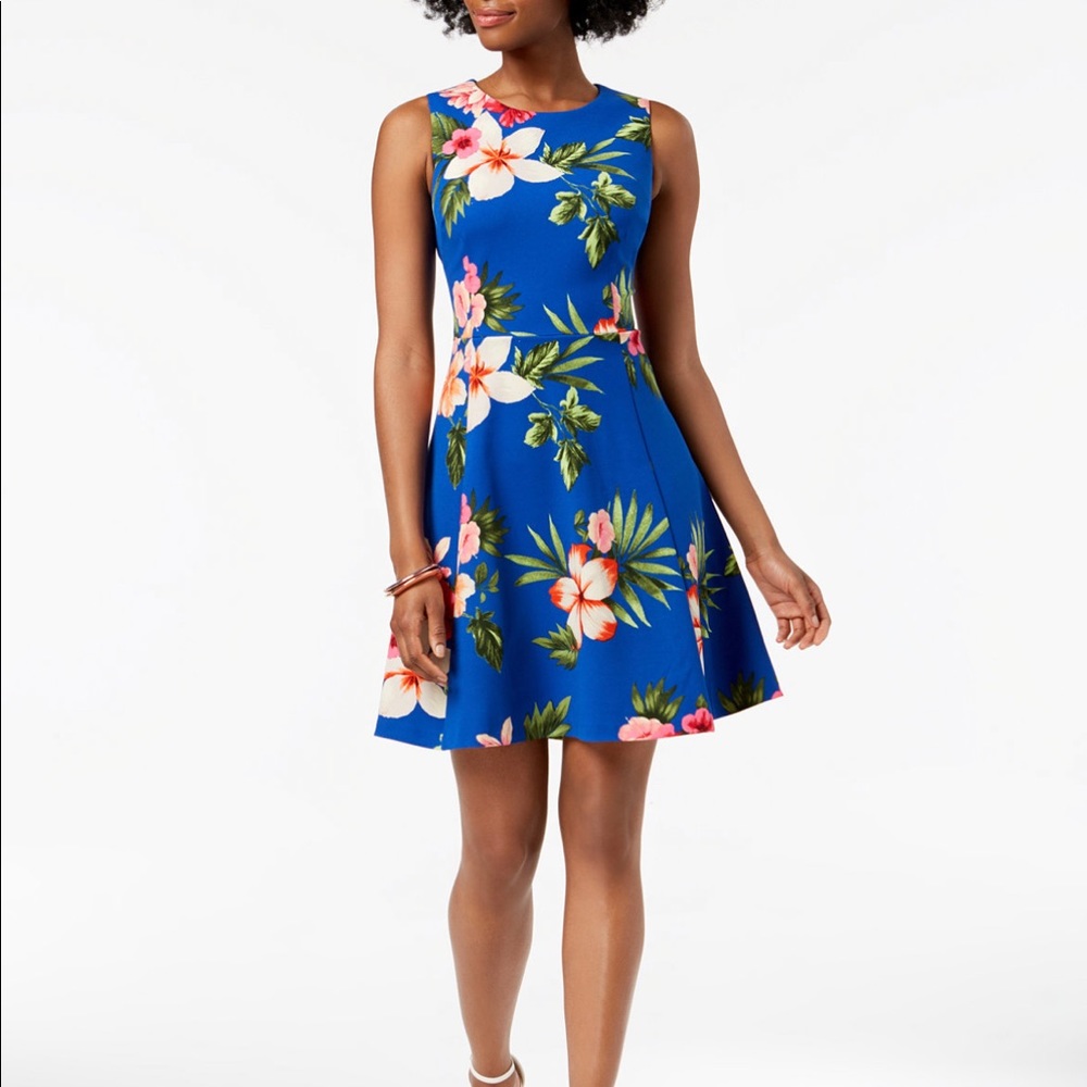 Jessica Howard Women's Floral Fit to Flare Dress